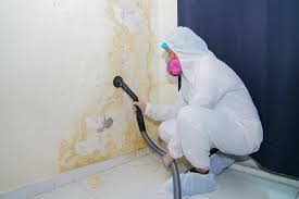 Best Forensic Mold Investigation  in Pegram, TN